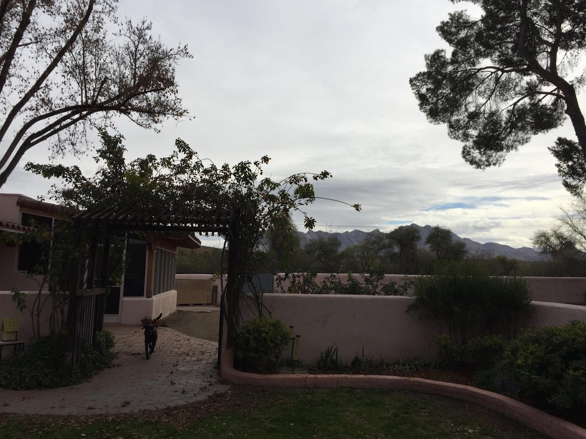 Casa Paloma B&B Tubac Zewnętrze zdjęcie